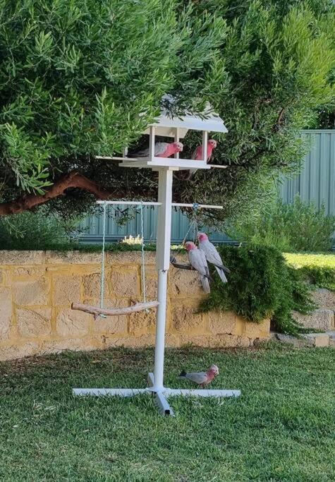 Shabby Chic Shack - 2 Bedroom Beach Cottage Yanchep Εξωτερικό φωτογραφία